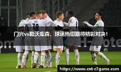 门兴vs勒沃库森,球迷热切期待精彩对决!