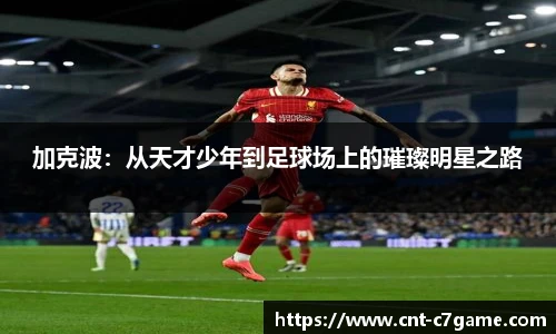 加克波:从天才少年到足球场上的璀璨明星之路